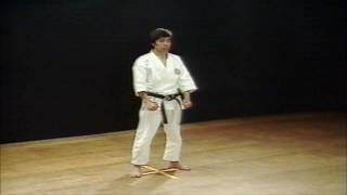 Free Download Video Karate Kata Jion